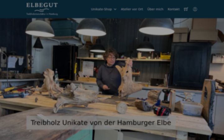 Zrzut ekranu elbegut.de