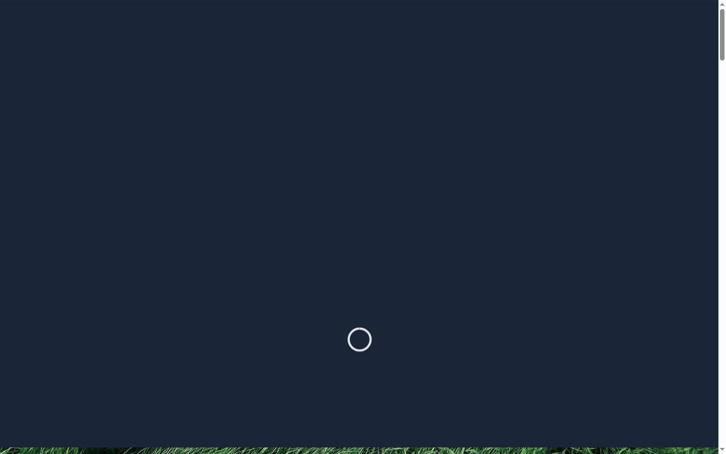 Screenshot van de toestemmingsbanner zoals getoond vóór enige interactie