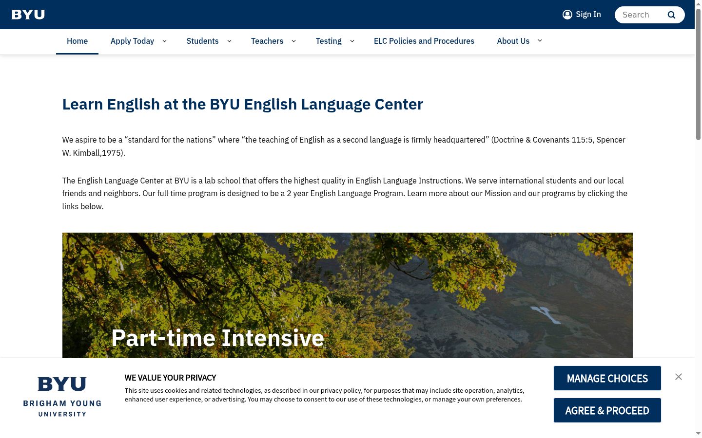 Screenshot of the consent banner shown before any interaction