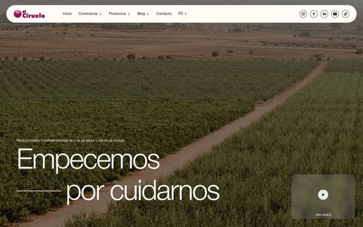 Screenshot of elciruelo.com