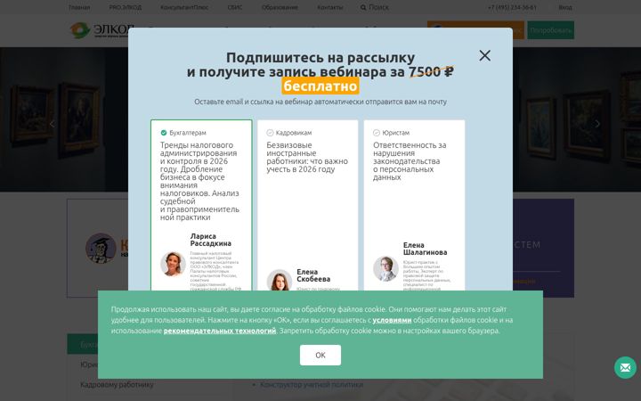 Ekrano kopija elcode.ru