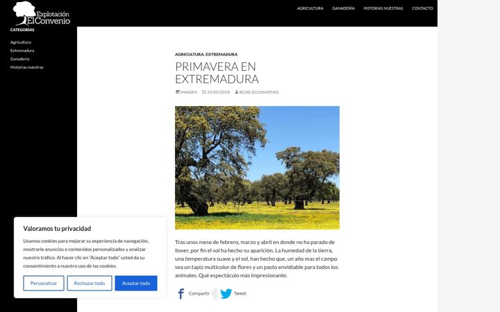 Screenshot of elconvenio.es