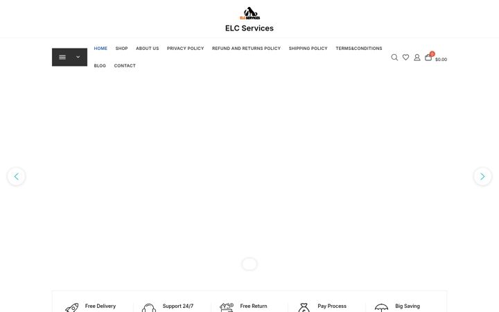 Zrzut ekranu elcservices.info