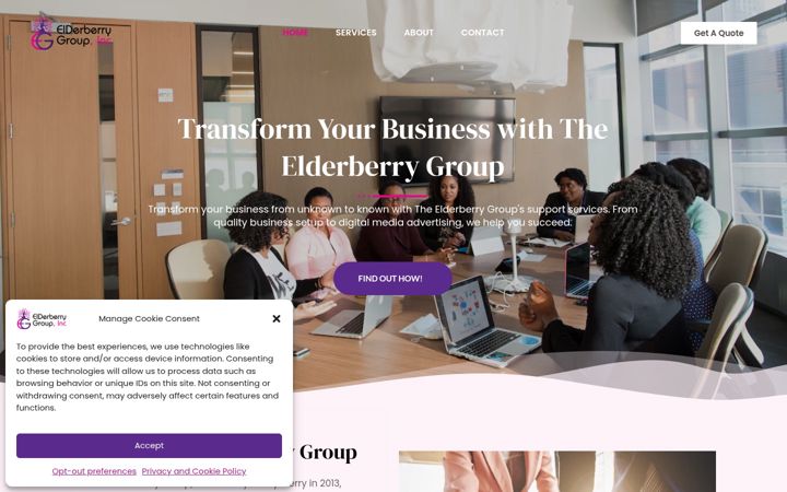 Screenshot of elderberrygroup.com