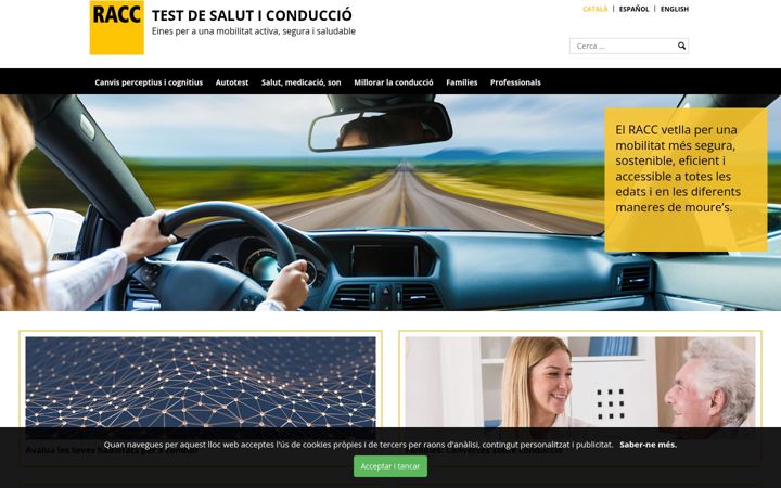 Screenshot of elderlydriving.com