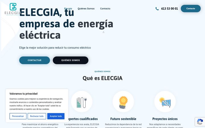 Screenshot of elecgia.com