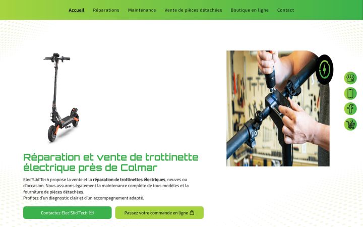 Zrzut ekranu elecslidtech.fr