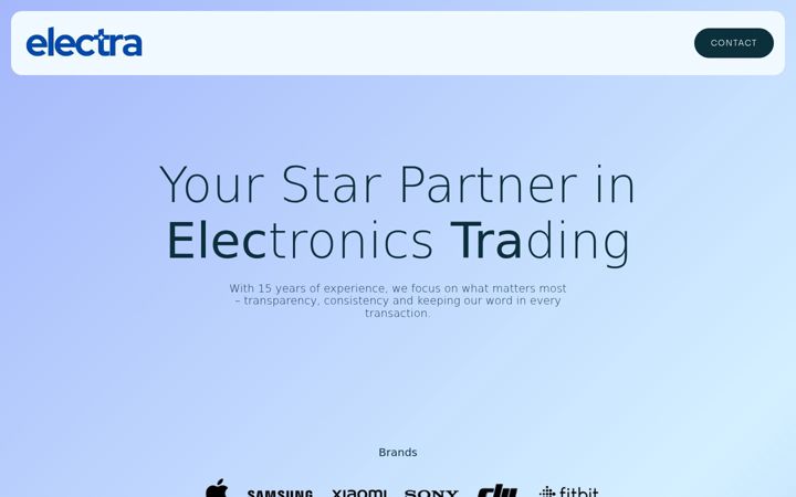 Screenshot of electraint.com