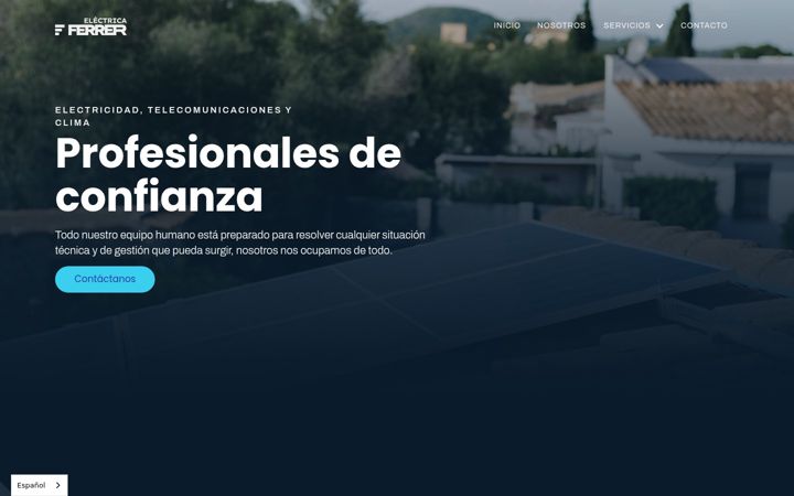 Screenshot of electricaferrer.com