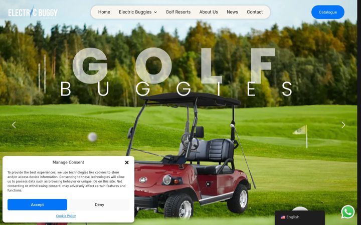 Screenshot of electricbuggycompany.com
