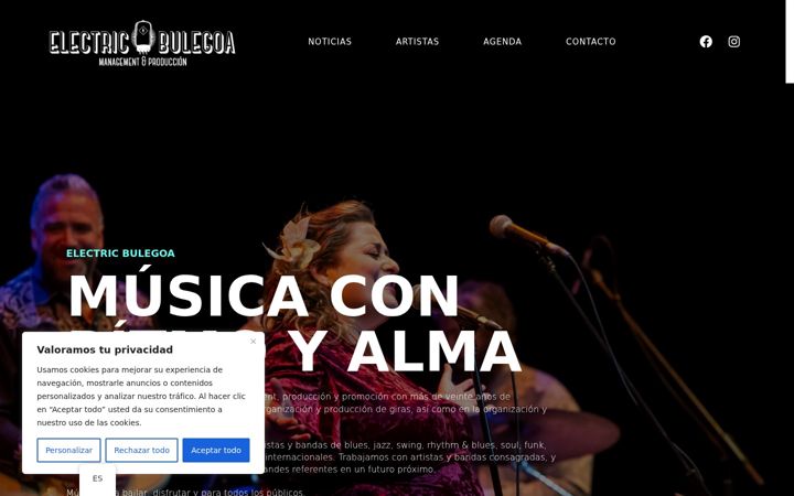 Screenshot of electricbulegoa.com
