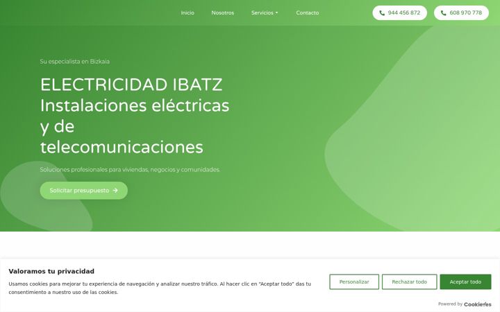 Screenshot of electricidadibatz.com