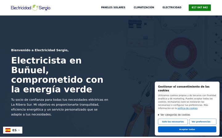Screenshot of electricidadsergio.com