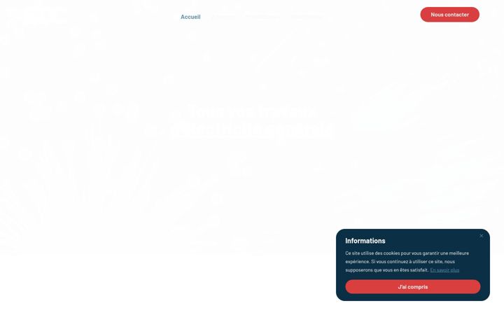 Screenshot stránky electricitedecornouaille.fr