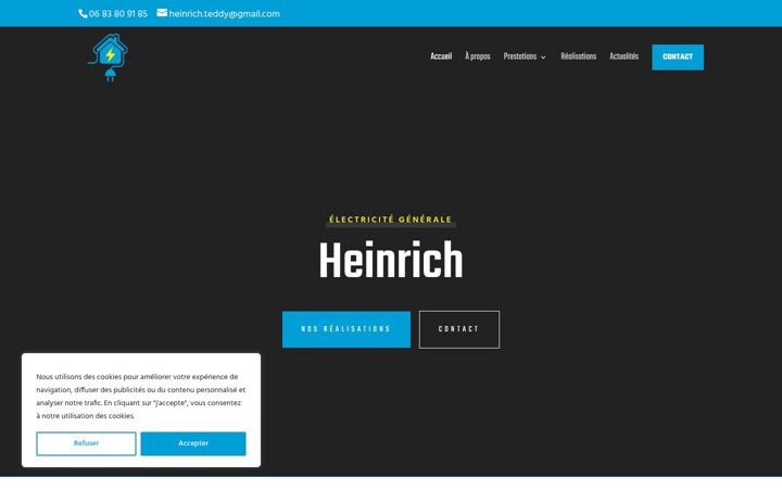 Screenshot of electricitegardheinrich.com