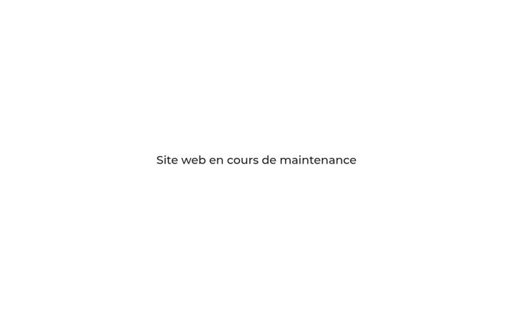 Screenshot stránky electriquescooter.fr