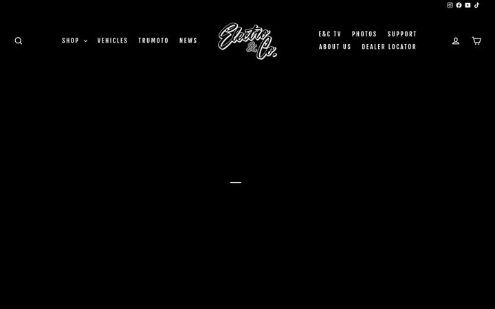 Screenshot of electroandcompany.com
