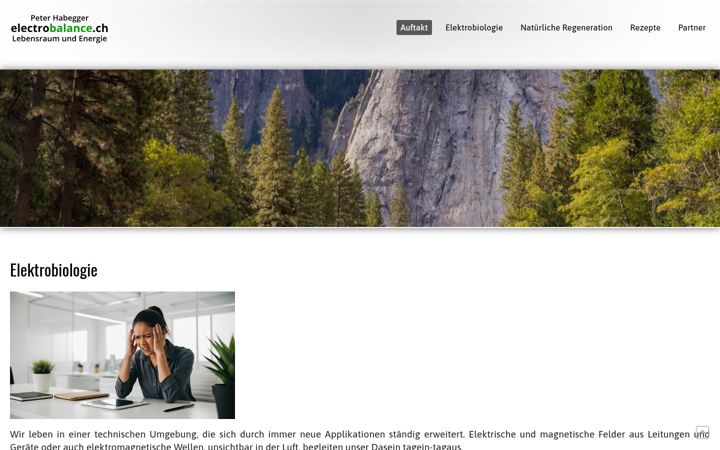 Screenshot von electrobalance.ch