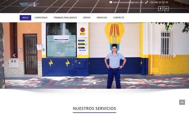 Screenshot of electrocanovas.com