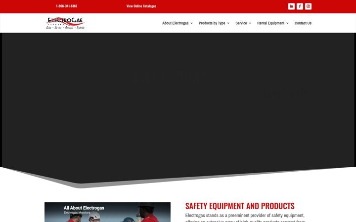 Screenshot of electrogasmonitors.com