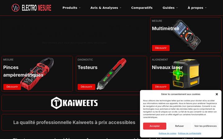 Screenshot stránky electromesure.fr