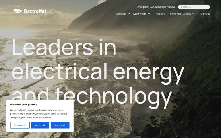 Screenshot of electronetgroup.com