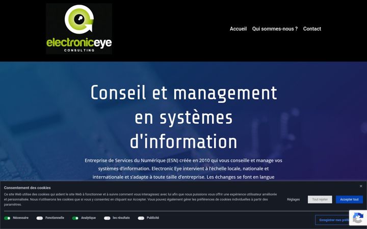 Screenshot of electronic-eye.com