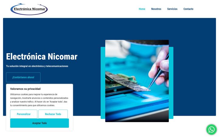 Screenshot of electronicanicomar.com