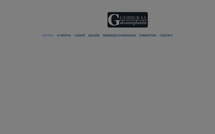 Screenshot of electroplasteromand.com