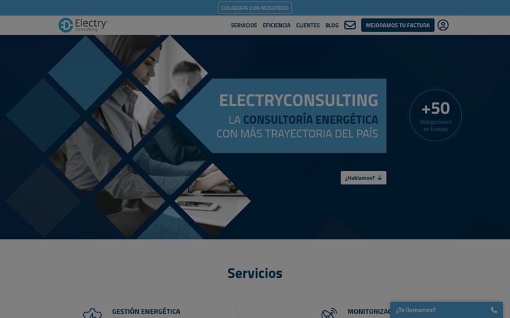 Screenshot of electryconsulting.com