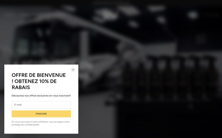 Captura de ecrã de elegancerm.ca