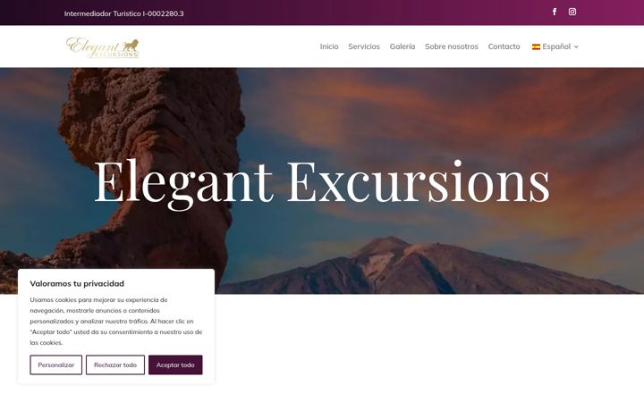 Screenshot of elegant-excursions.com