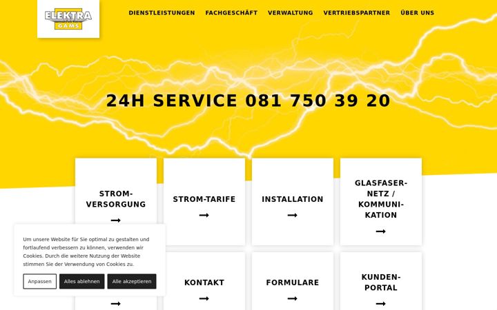 Skjermbilde av elektra-gams.ch