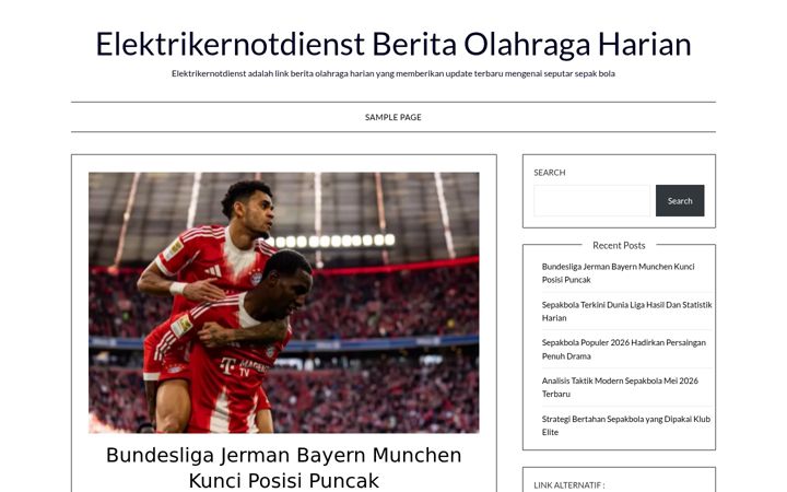 Screenshot of elektrikernotdienst-wien.com