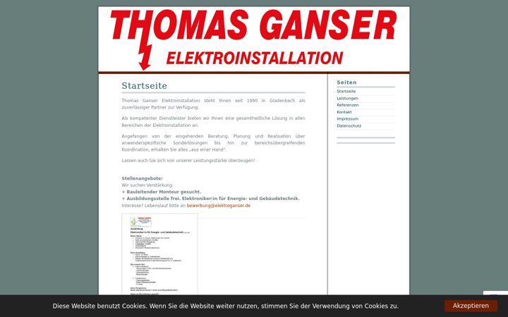 Captura de pantalla de elektro-ganser.de