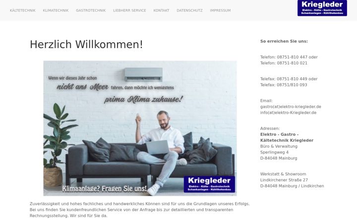 Screenshot di elektro-kriegleder.de