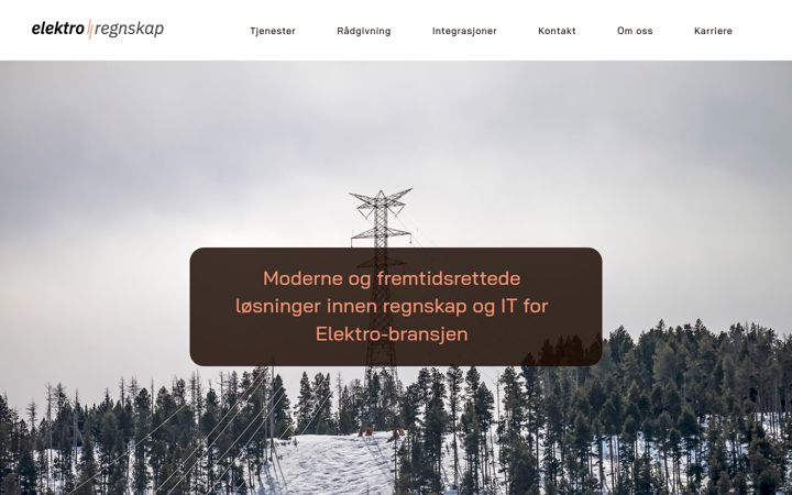 Ekrano kopija elektro-regnskap.no