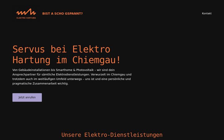 Capture d'écran de elektrohartung.de