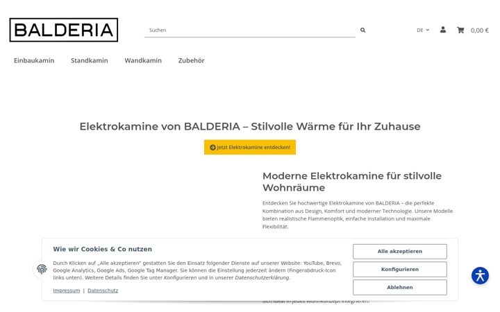 Screenshot of elektrokaminshop.com