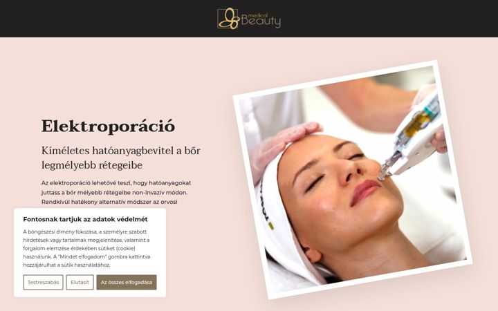 Snímek obrazovky elektroporacio.hu