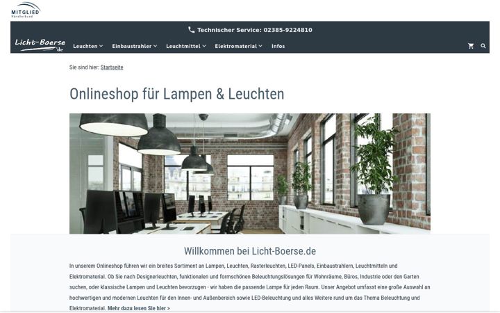 Екранна снимка на elektrotechnik-licht-boerse.de