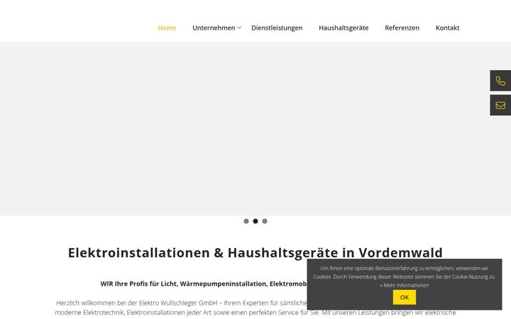 Snímek obrazovky elektrowullschleger.ch