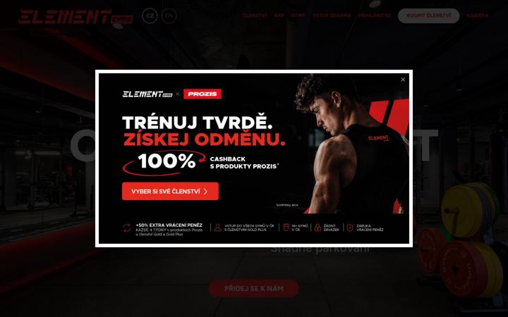 Capture d'écran de elementgyms.cz