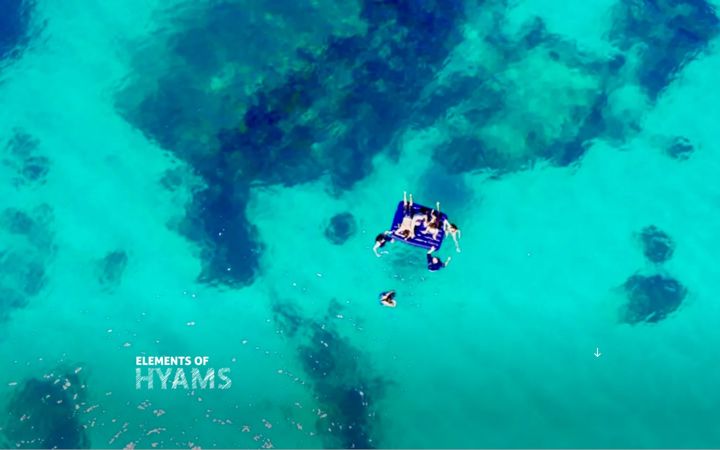 Screenshot ta' elementsofhyams.com.au
