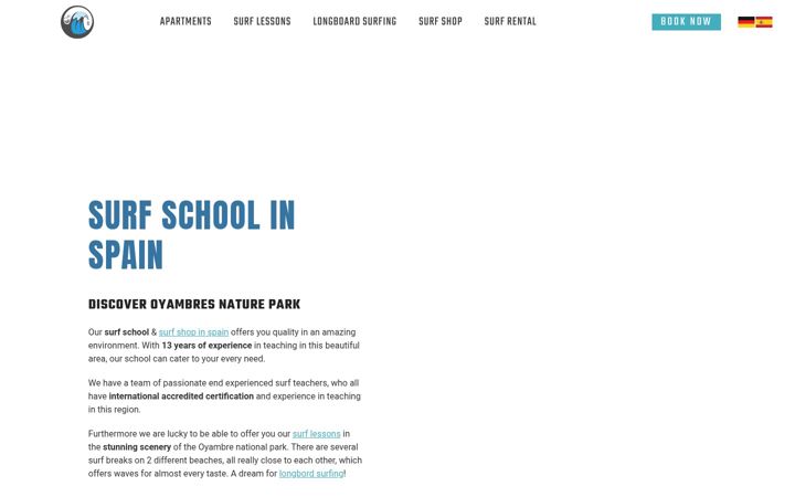 Screenshot of elementsurf.com