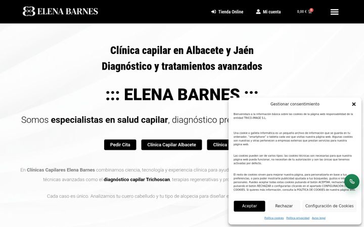 Captura de pantalla de elenabarnes.es