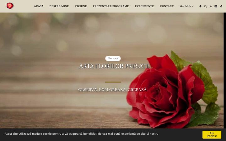 Screenshot of elenabrinaru.com