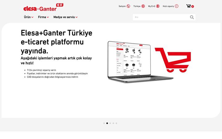 Snímek obrazovky elesa-ganter.com.tr