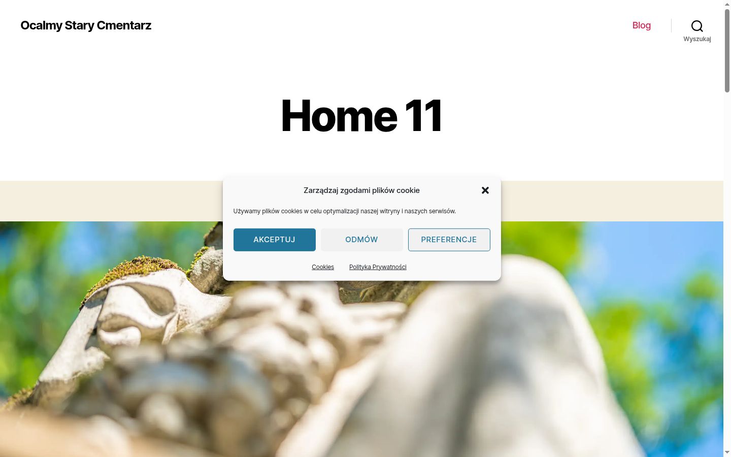 Screenshot des Einwilligungsbanners vor jeglicher Interaktion