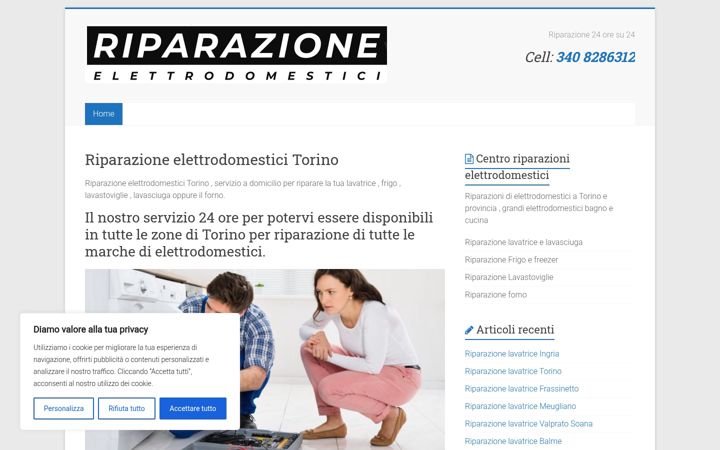 Screenshot of elettrodomesticitorino.com